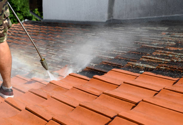 Best Residential Pressure Washing Services  in Buena, NJ