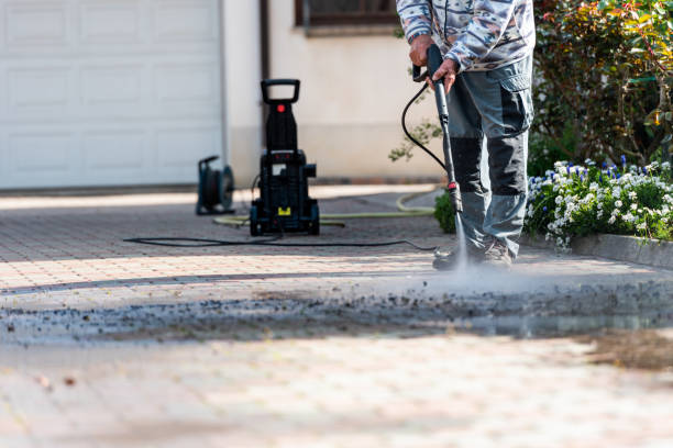 Best Roof Power Washing Services  in Buena, NJ