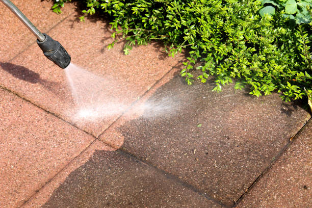 Roof Power Washing Services in Buena, NJ