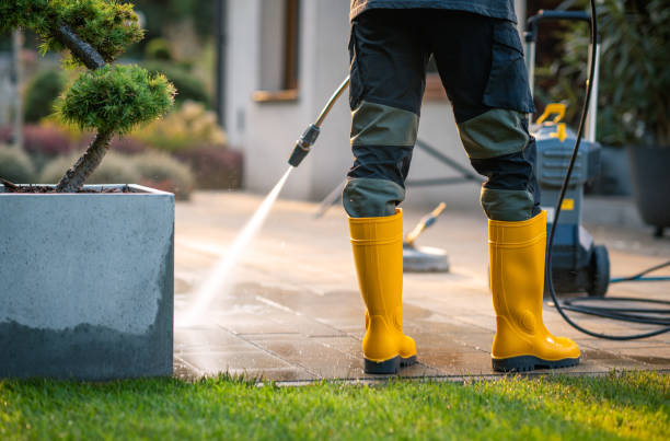 Best Power Washing Near Me  in Buena, NJ